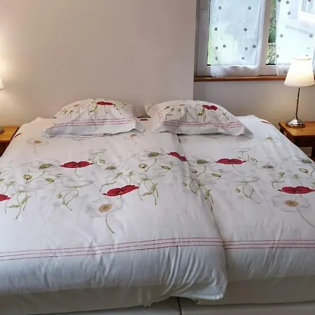 Maison Des Ecluses F3 90m2 Jacuzzi Climatisation * Straßburg