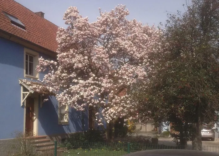 Maison Des Ecluses F3 90m2 Jacuzzi Climatisation * Strasbourg