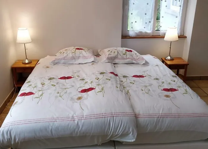 Maison Des Ecluses F3 90m2 Jacuzzi Climatisation * Strasbourg