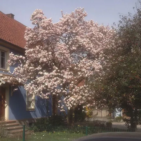 Maison Des Ecluses F3 90m2 Jacuzzi Climatisation * Strasbourg